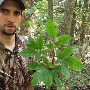 Meet your Posher, Paul